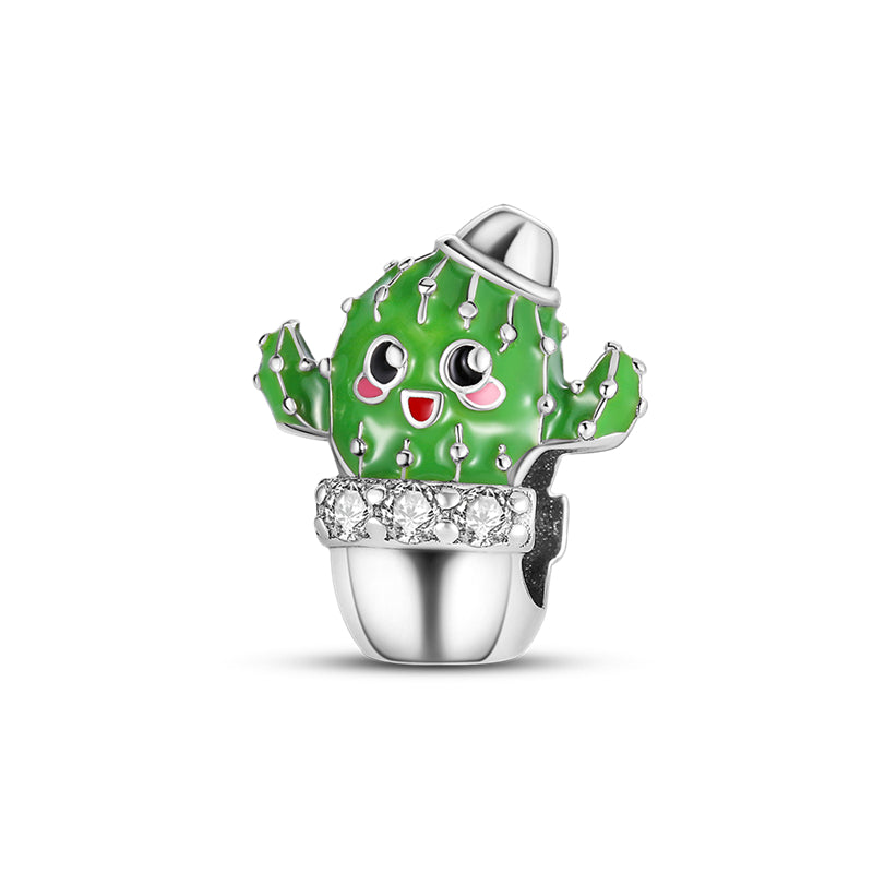 Charm Cactus